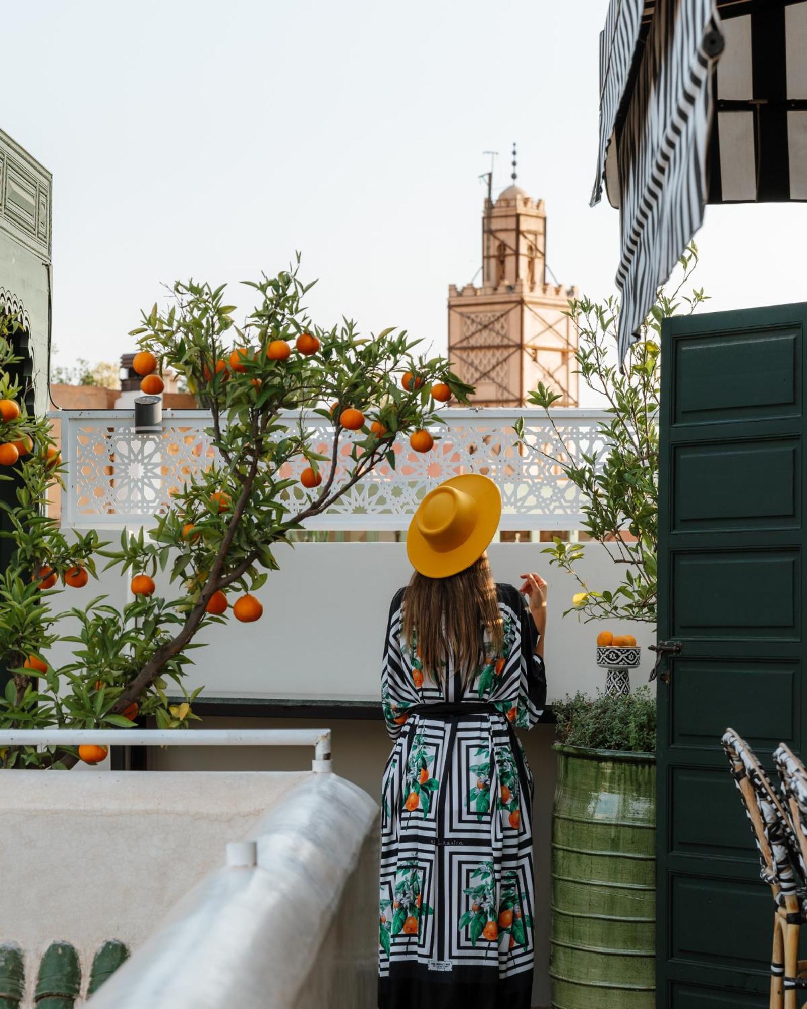 מרקש Riad Botanica מראה חיצוני תמונה
